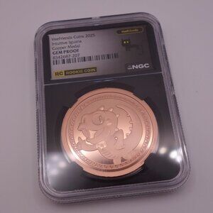 VeeFriends Coins 2025 Intuitive Iguana Copper Medal GEM PROOF Rookie Coin NGC